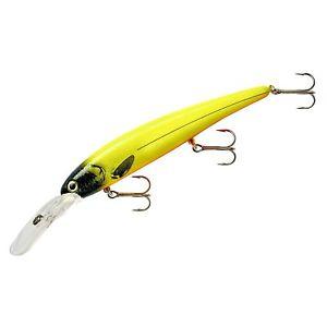 BANDIT-KURSE, Bandit - Walleye Shallow