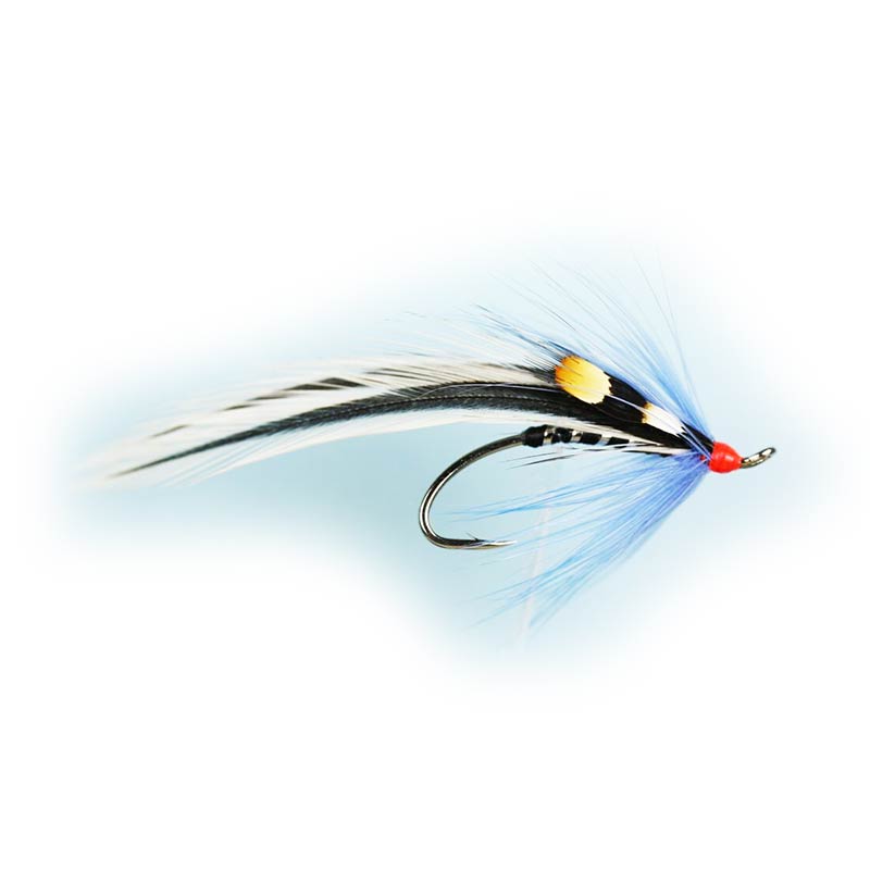 Caledonia Fliegen Unternehmen, Caledonia Blue Elver Einzelfliege