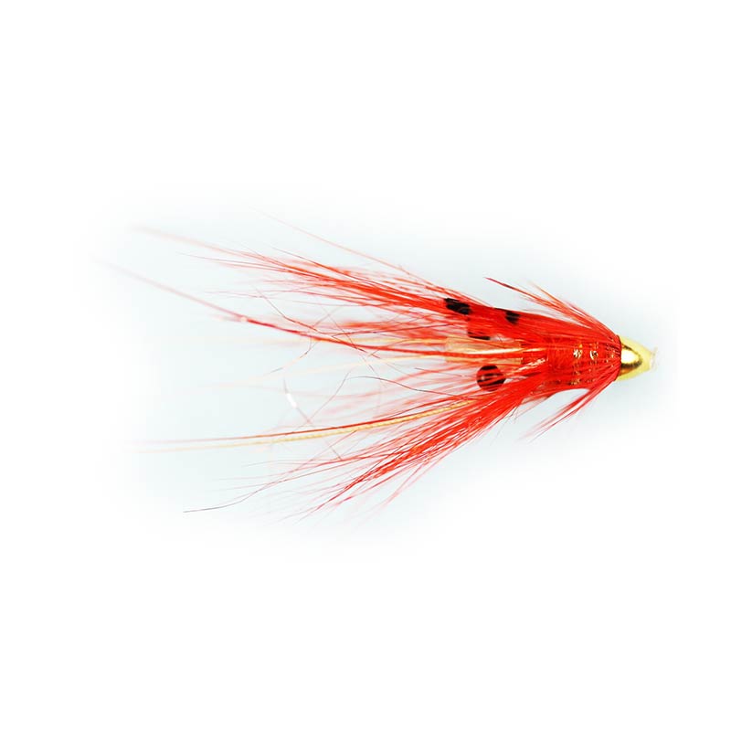 Caledonia Fly Unternehmen, Caledonia Islamouth Shrimp Fly