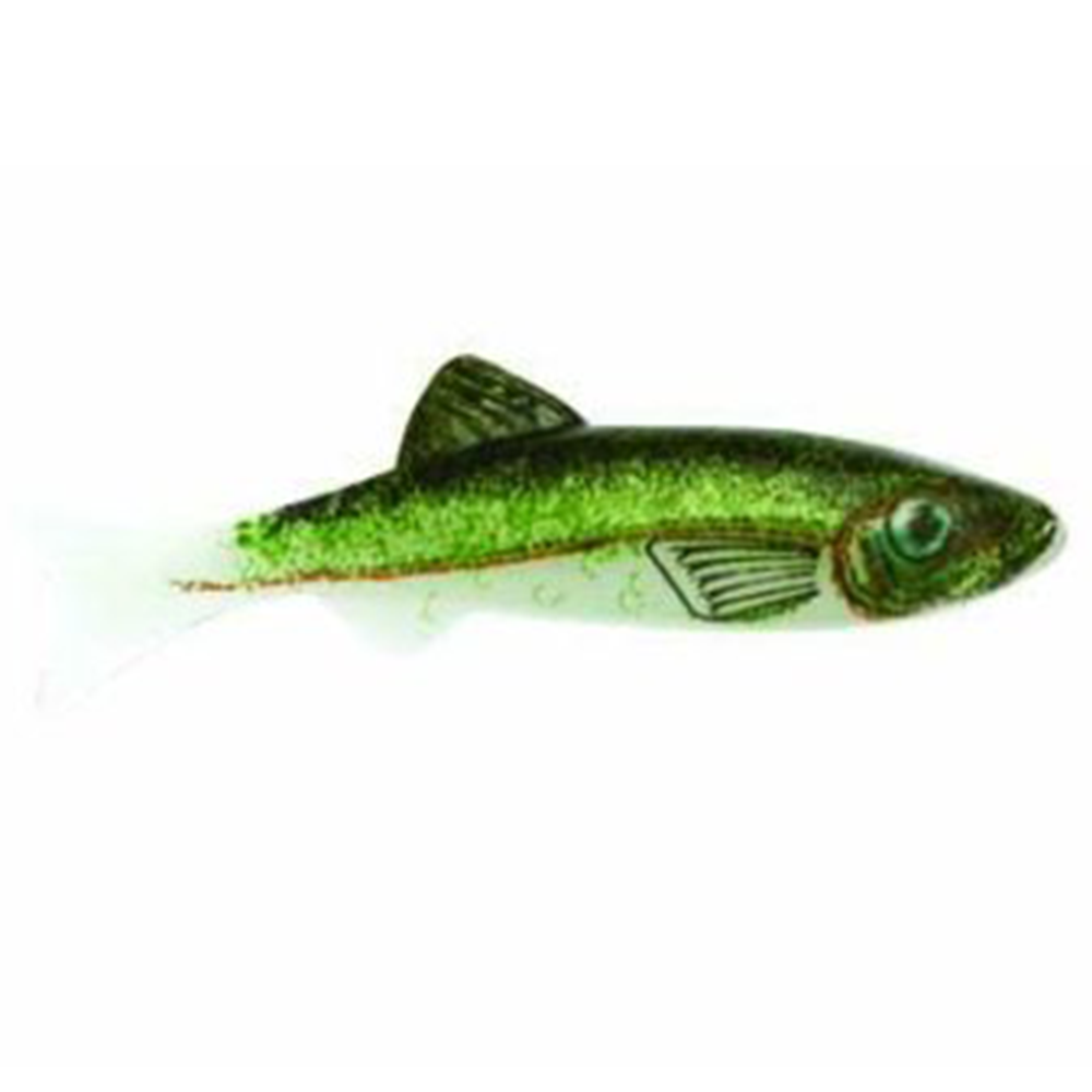 Renosky, Renosky Keystone Minnow Jigs