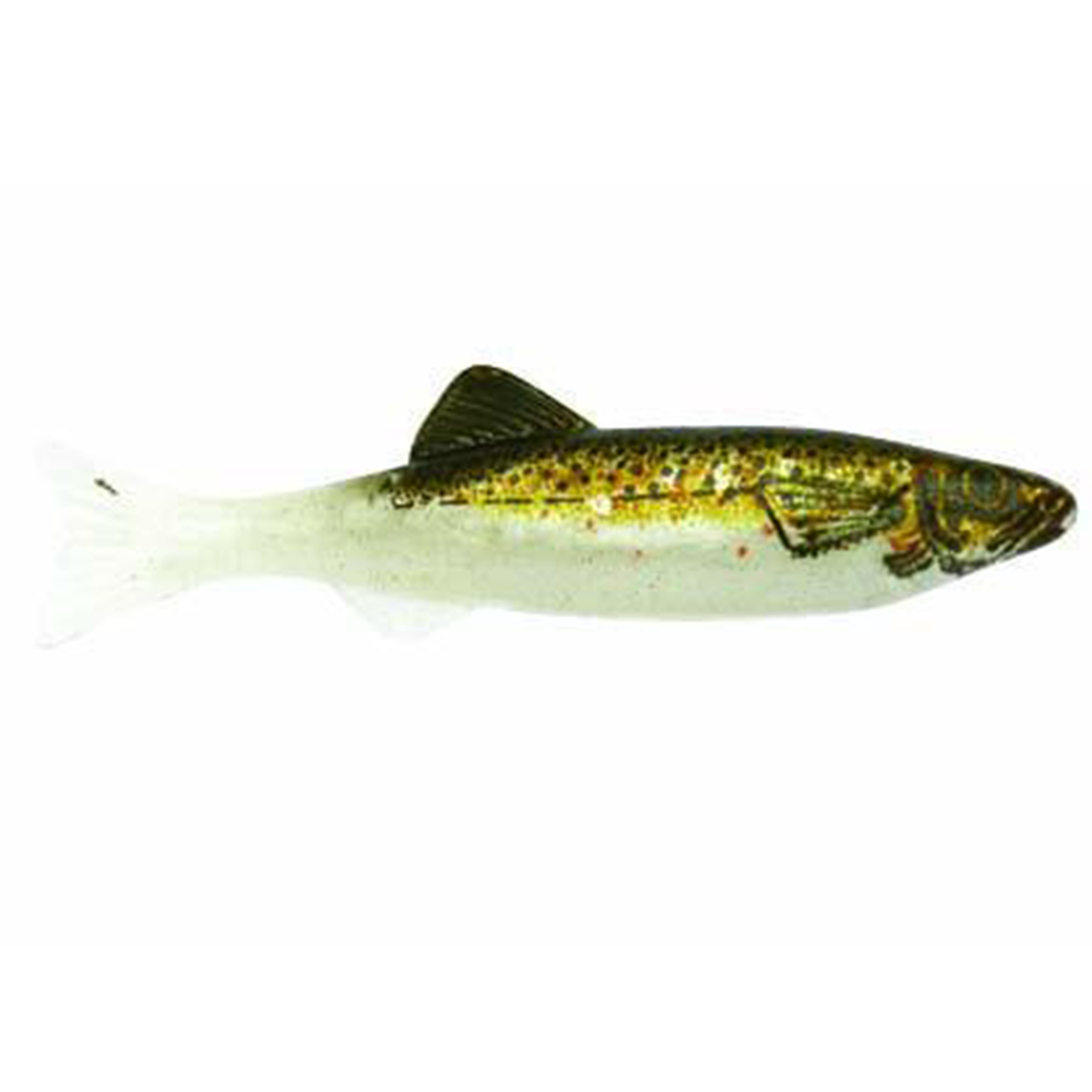 Renosky, Renosky Keystone Minnow Jigs